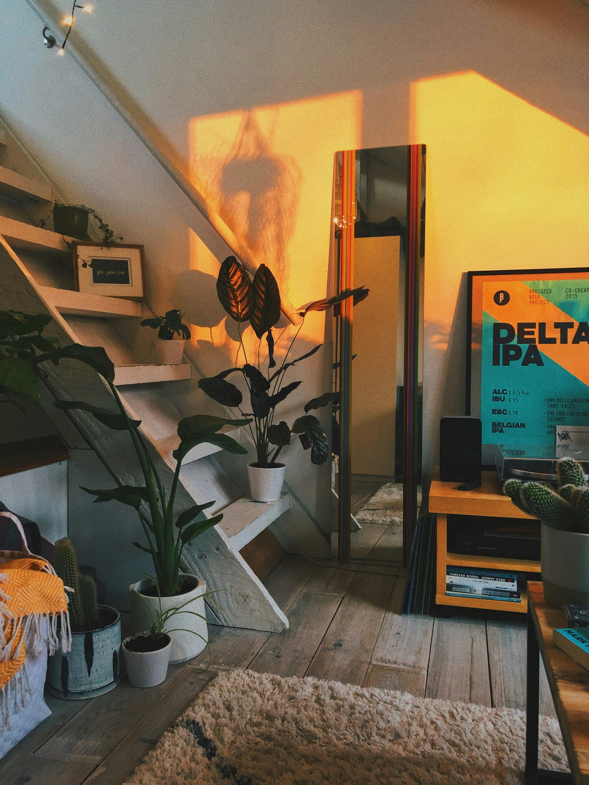 A loft with house plants, a white wooden ladder and a standing mirror with the sunset rays giving it a warm feel
