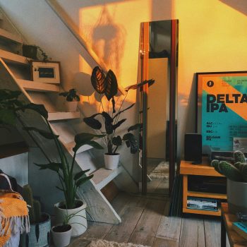 Cozy aesthetics sunset